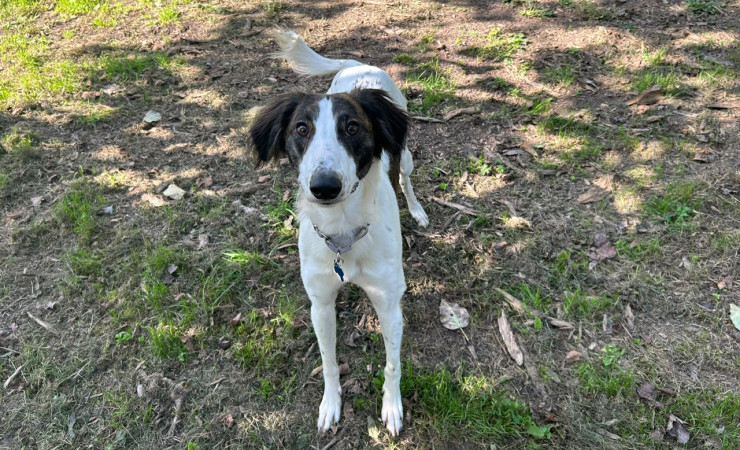 Max (6)