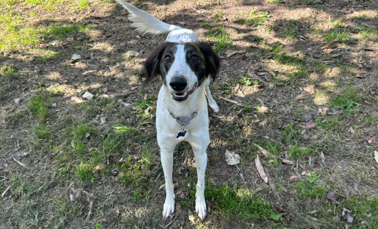 Max (7)