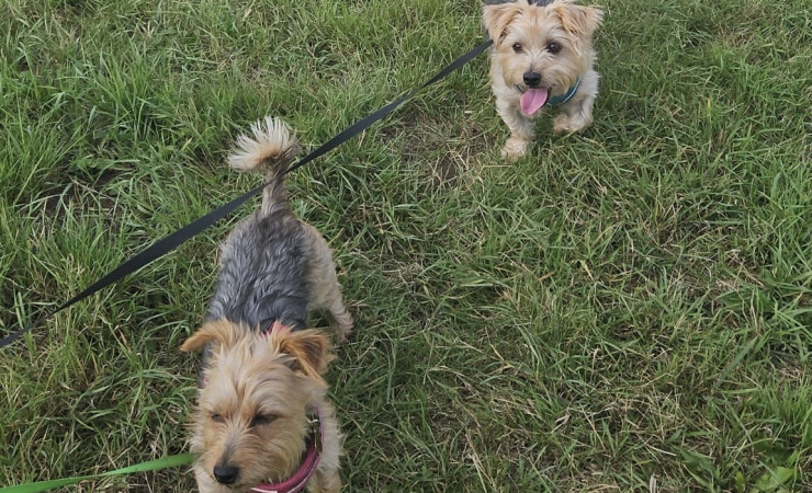 ae30cd8c-2824-4db1-b330-7449ae8f469f