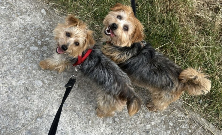 73c53432-bfeb-48cd-91be-cfb40029bd4f