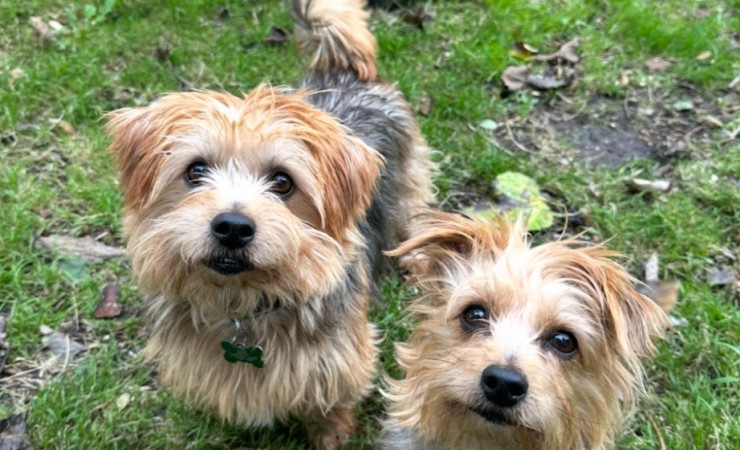 0a4fb5c4-4f83-44ef-85d8-2bb758accfd8