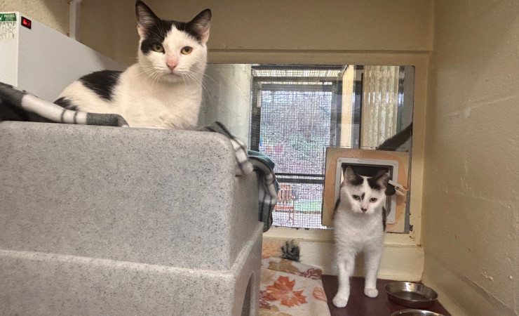 Princess & Dotty (1)