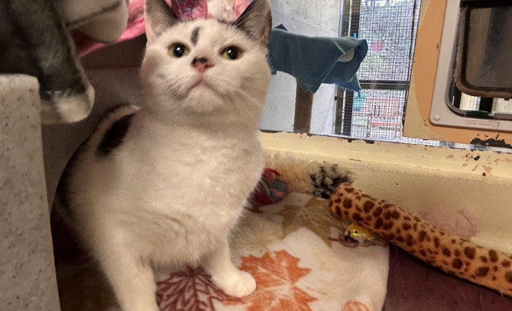 Princess & Dotty (2)