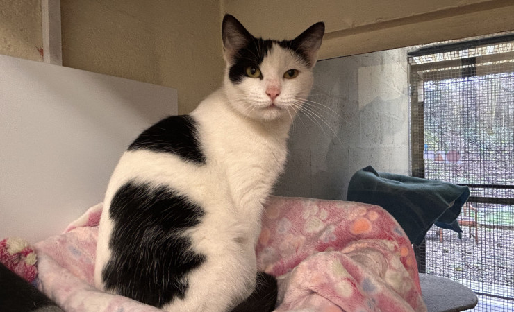 Princess & Dotty (4)