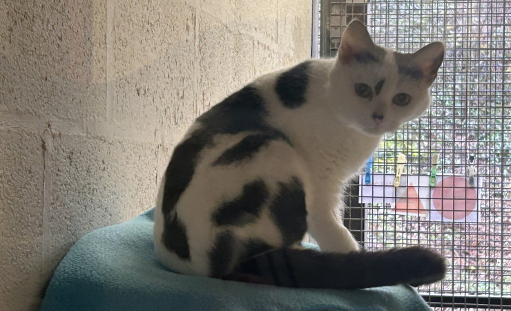 Princess & Dotty (6)