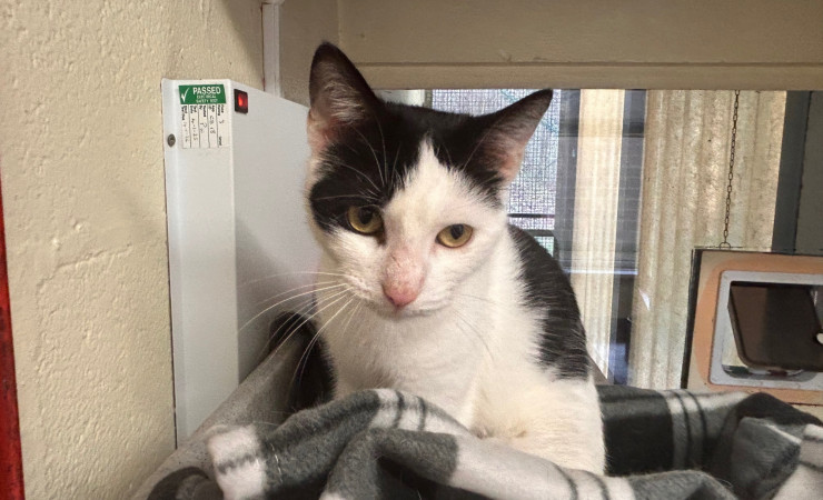 Princess & Dotty (9)