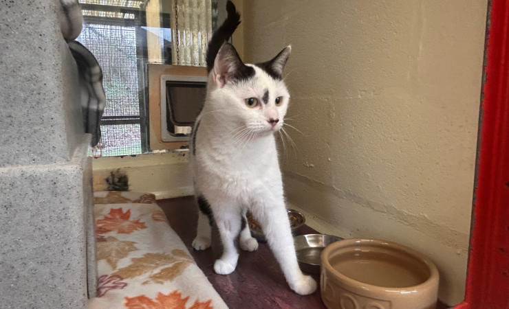 Princess & Dotty (10)