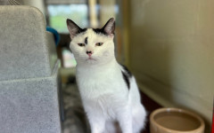 Dotty & Princess (7)