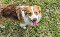 Ben (2)