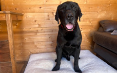 Fleet (3)