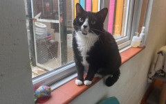 Smudge (15)