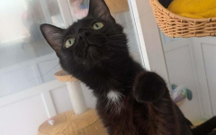 Sabrina