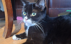 Felicity (1)