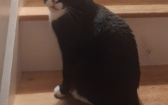 Felicity (3)