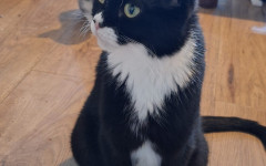 Felicity (1)