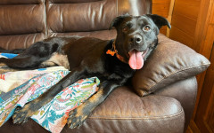 Thelma (2)