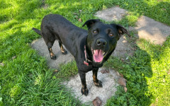 Thelma (7)