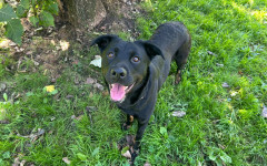 Thelma (10)