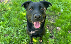 Thelma (1)