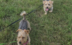 ae30cd8c-2824-4db1-b330-7449ae8f469f