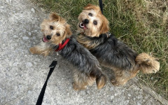 73c53432-bfeb-48cd-91be-cfb40029bd4f