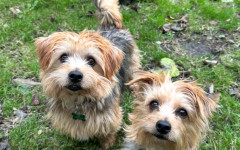 0a4fb5c4-4f83-44ef-85d8-2bb758accfd8