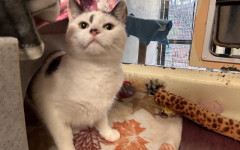 Princess & Dotty (2)