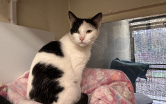 Princess & Dotty (5)