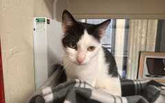 Princess & Dotty (9)