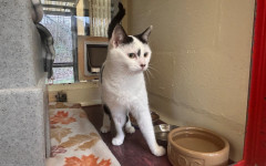 Princess & Dotty (10)