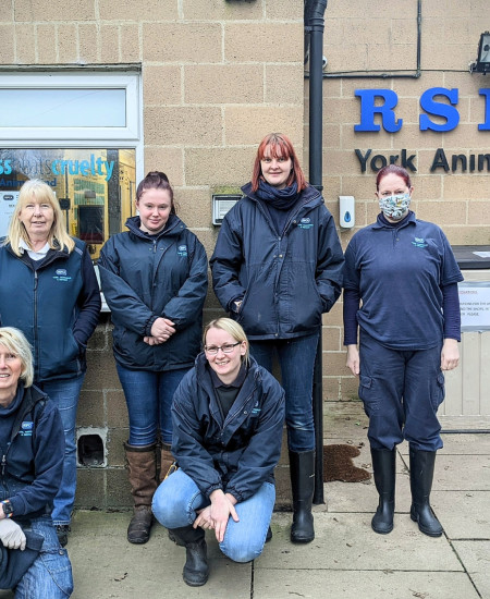 Staff Team