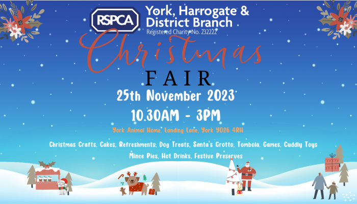 Xmas Fair PNG