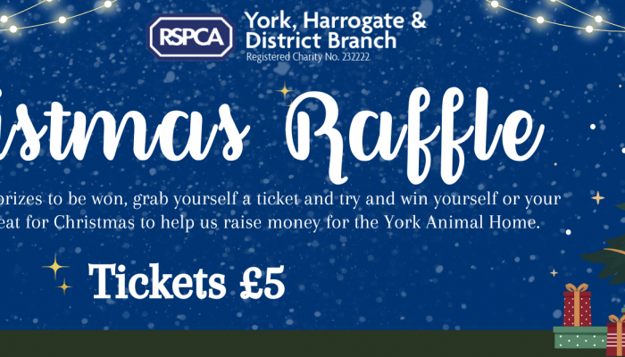 Website Banner Christmas Raffle Facebook Cover