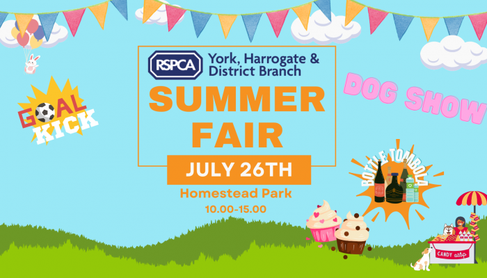 Website Banner Summer Fair 2025