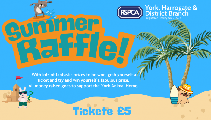 Summer Raffle Banner