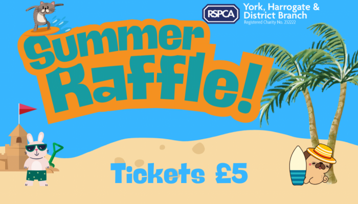 Summer Raffle Banner2