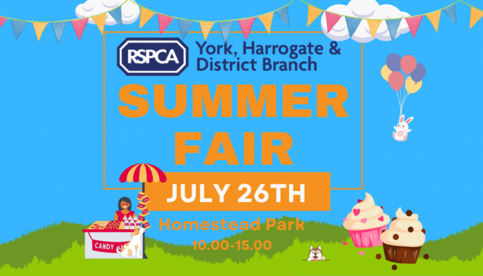 Sumerfair2