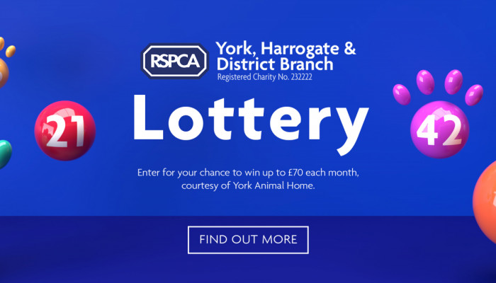 RSPCA_Lotto_Header_Banner_1_v3