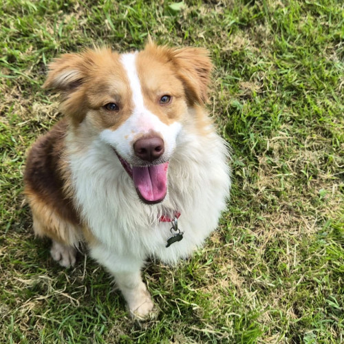 Ben (1)