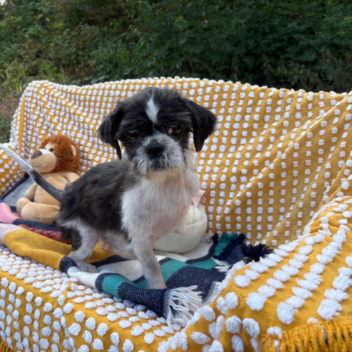 Marley (10)