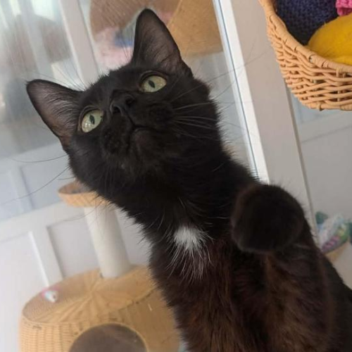 Sabrina