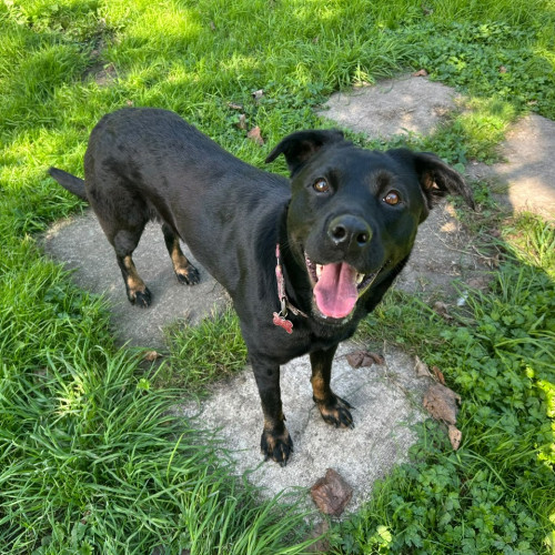 Thelma (7)