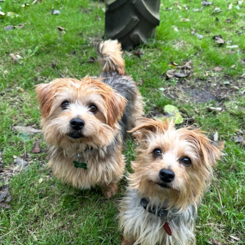 0a4fb5c4-4f83-44ef-85d8-2bb758accfd8