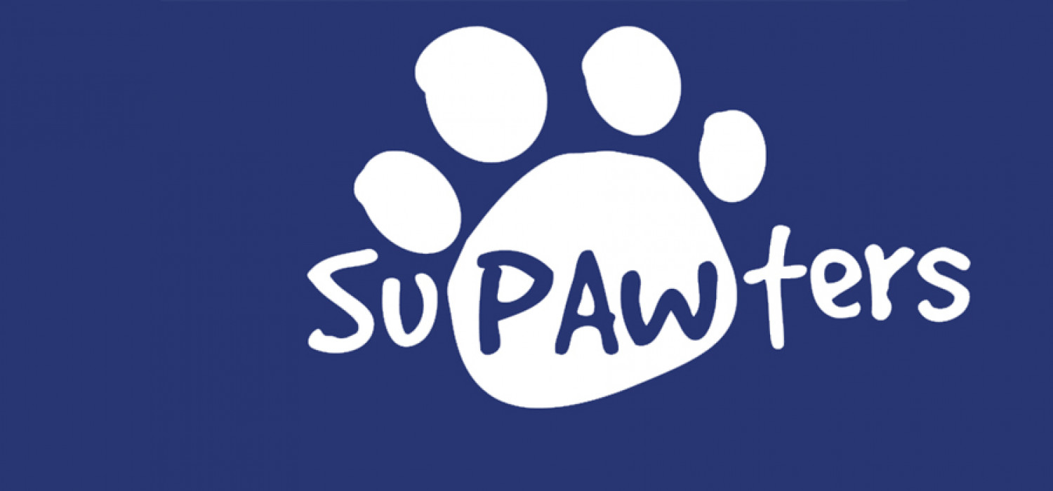 Supawter banner no text Bllue