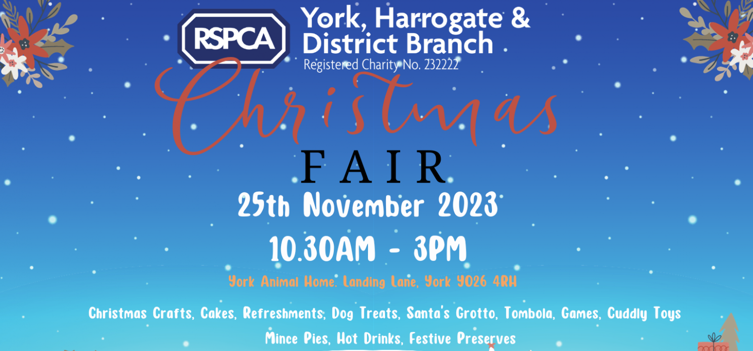 Xmas Fair PNG