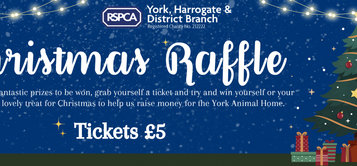 Website Banner Christmas Raffle Facebook Cover