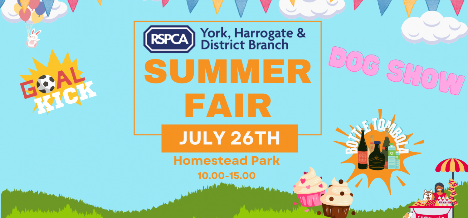 Website Banner Summer Fair 2025