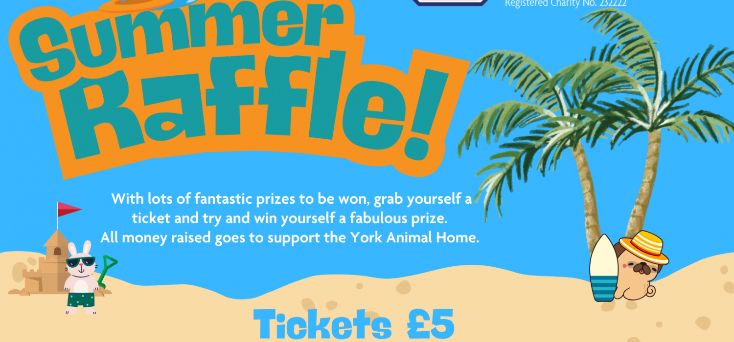 Summer Raffle Banner
