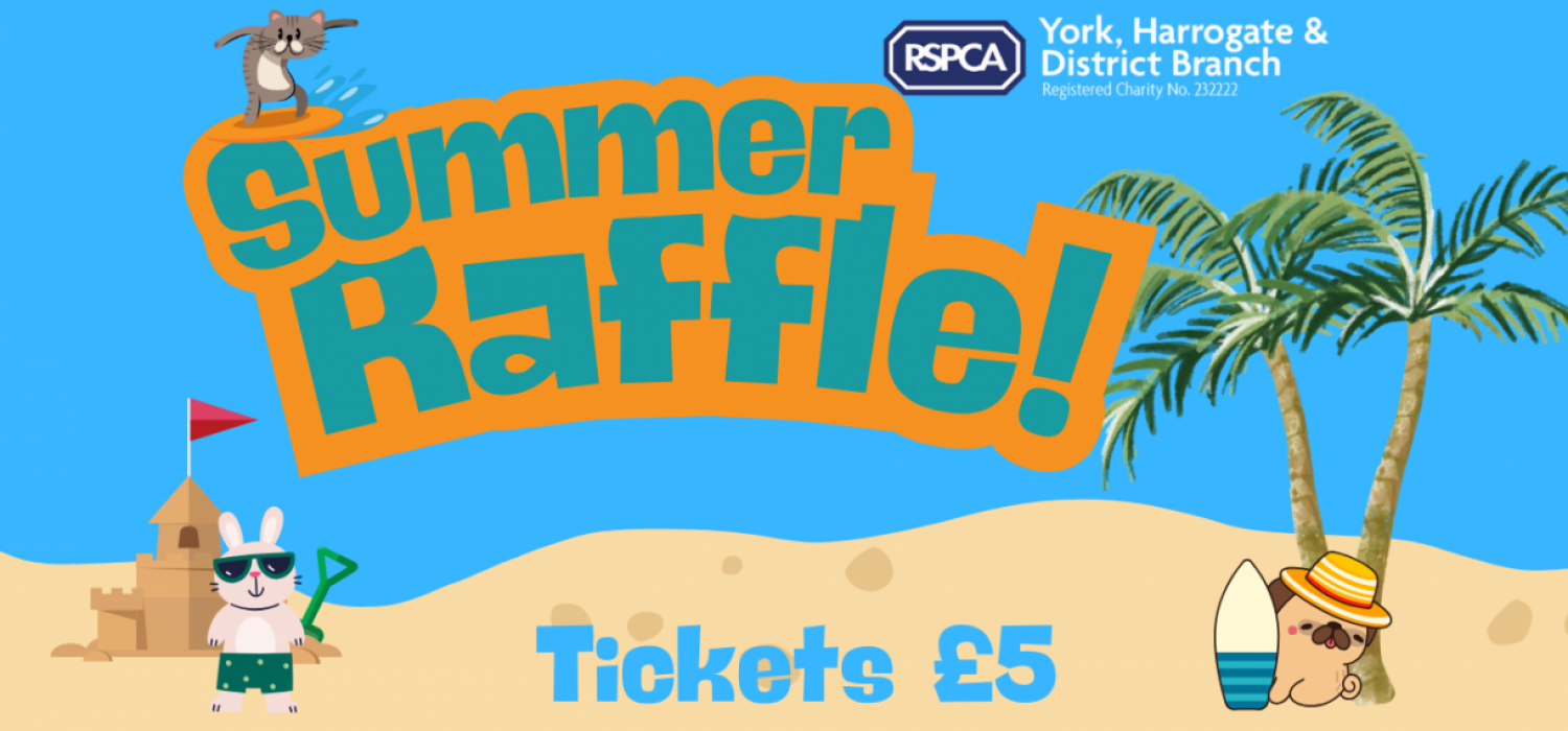 Summer Raffle Banner2