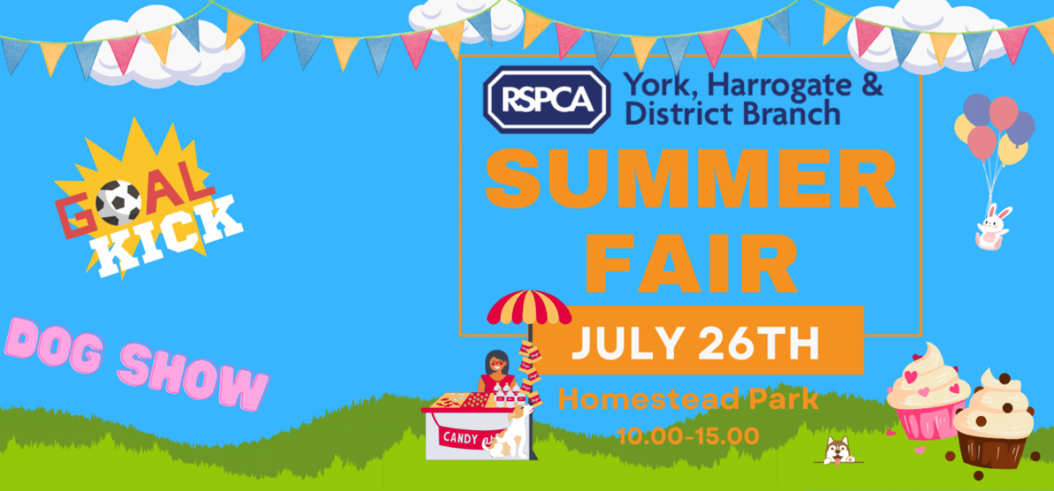Sumerfair2